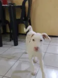 Lua