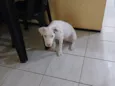 Lua