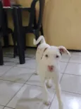 Lua