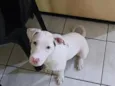 Lua