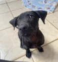 Zig