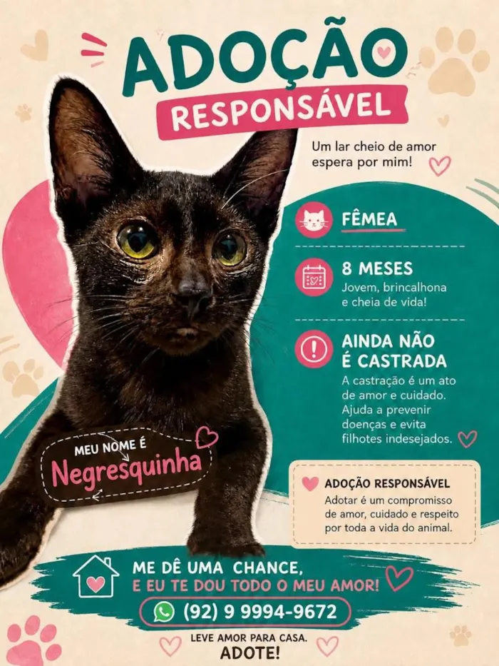 Gato raça SRD-ViraLata idade 7 a 11 meses nome Negresquinha