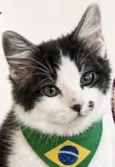 Tom 