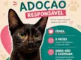 Negresquinha