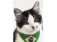 Tom 