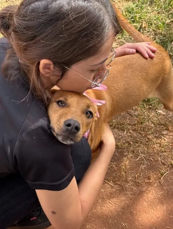 Cachorro raça SRD-ViraLata idade 7 a 11 meses nome Atlas