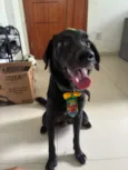jack