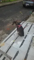 Não sei