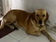 Luck
