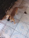 não tem nome 