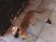 não tem nome 
