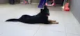 Raika