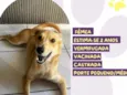 Antonella