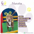 Nutella