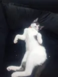Peter