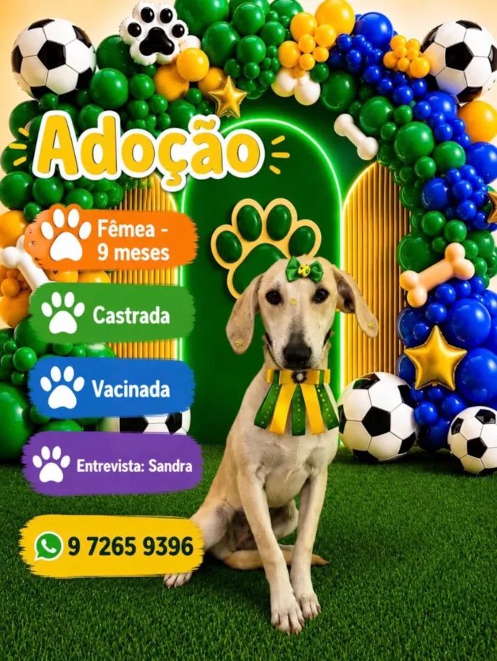 Cachorro raça SRD-ViraLata idade 7 a 11 meses nome  Luana 