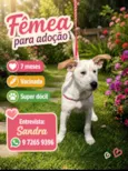 Isabel