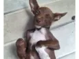 Rob