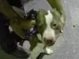 Spike 