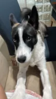 Barthô 