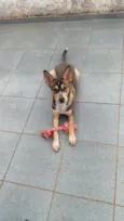 Anahí