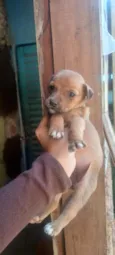 Esperança 