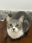 Zoe