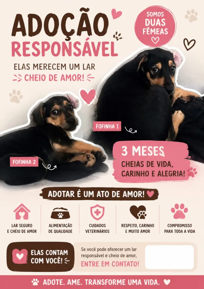 Cachorro raça SRD-ViraLata idade 2 a 6 meses nome não tem nome 