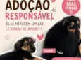 não tem nome 