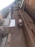 ROZANA