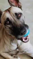 Apollo 