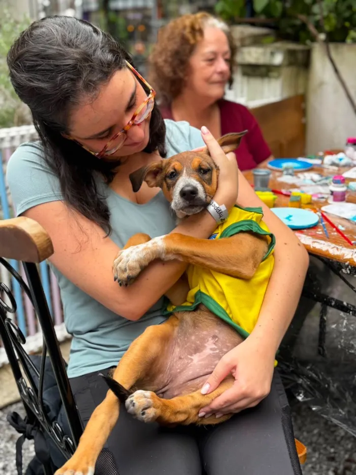 Cachorro raça SRD-ViraLata idade 2 a 6 meses nome Samantha
