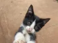 Tom