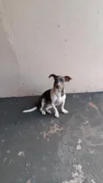 Dora 