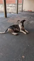 Dora 
