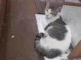 Eduardo 