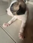 Sem nome ainda