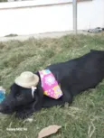 PRINCESA