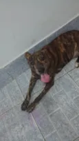 Marley