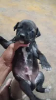 Nao tem ainda 