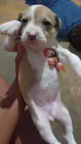 Nao tem ainda 