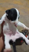 Nao tem ainda 