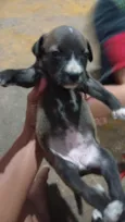 Nao tem ainda 