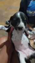 Nao tem ainda 