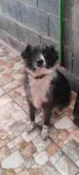 Princesa 