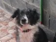 Princesa 