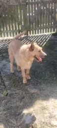 Duke