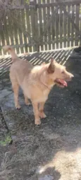 Duke