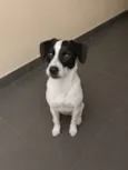 Meg