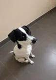 Meg